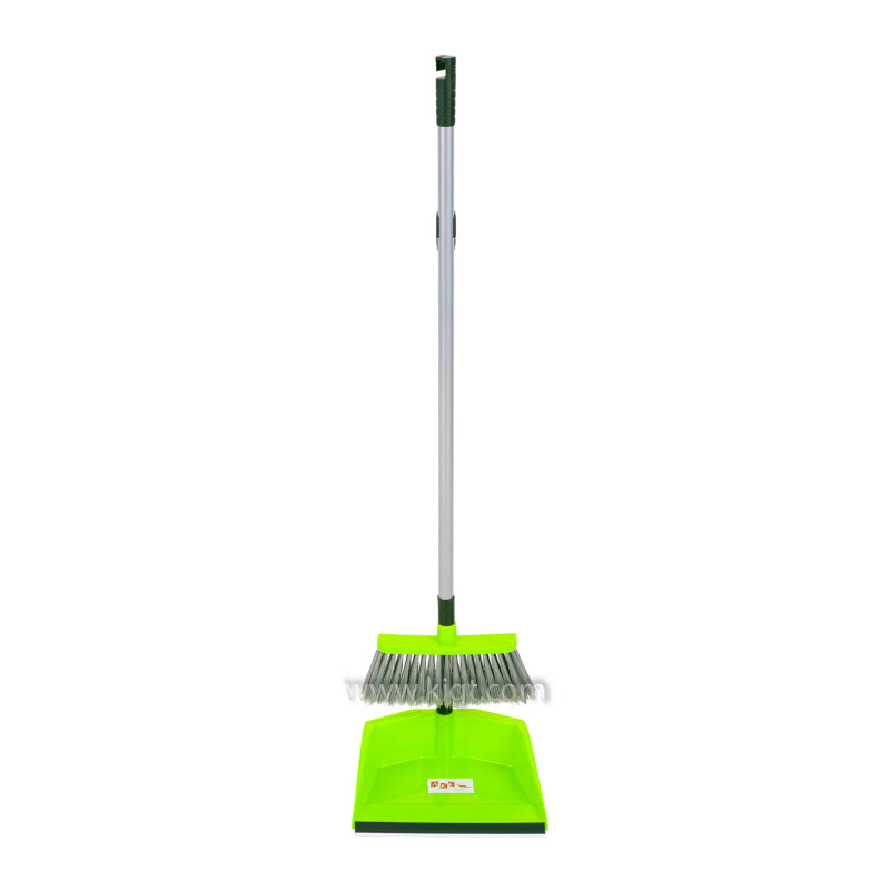 Dust pan with longe handle