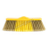 Soft broom golden