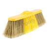 Soft broom golden