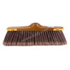 Soft broom golden