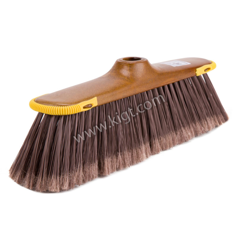 Soft broom golden