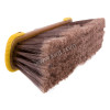 Soft broom golden