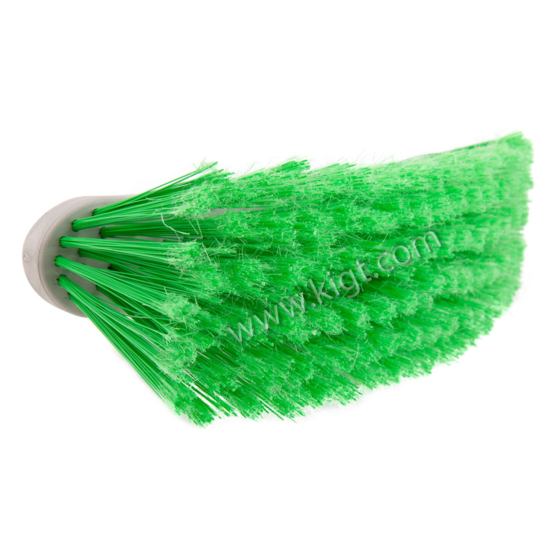 Camelia Broom 