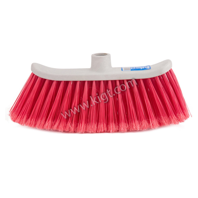 Camelia Broom 