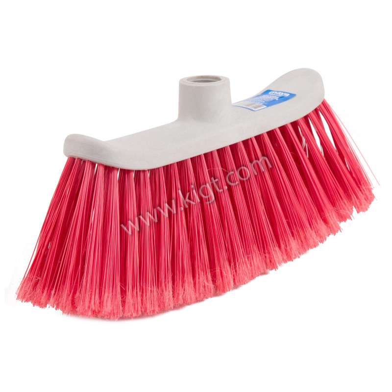 Camelia Broom 