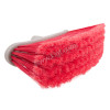 Camelia Broom 