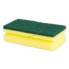 Sponge With Scourer (10 Pcs )