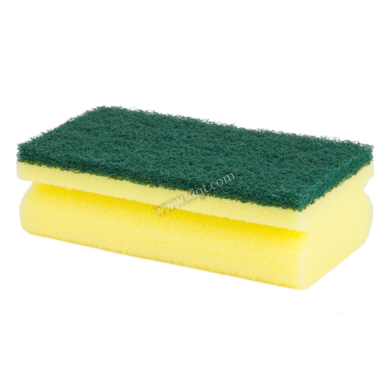 Sponge With Scourer (10 Pcs )