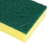 Sponge Scourers