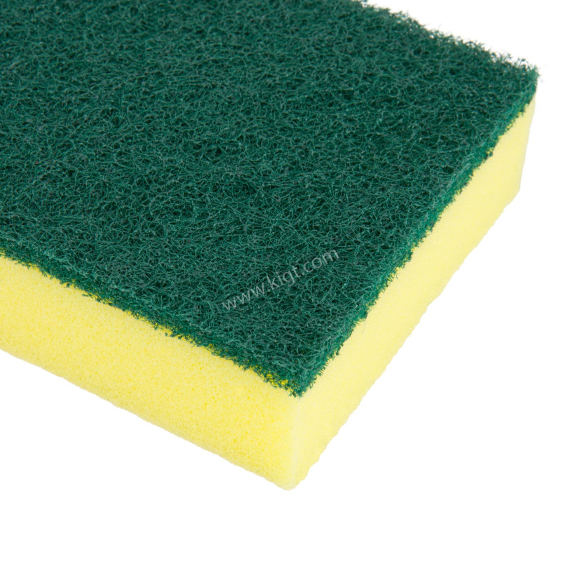 Sponge Scourers