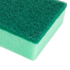 Light Duty multi Color Sponge With Scourer