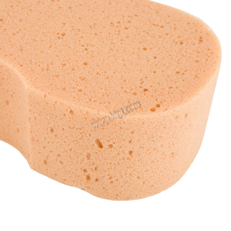 Car Spong 6 - AWKS