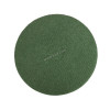 Shining Pad  17  inch Step No 3