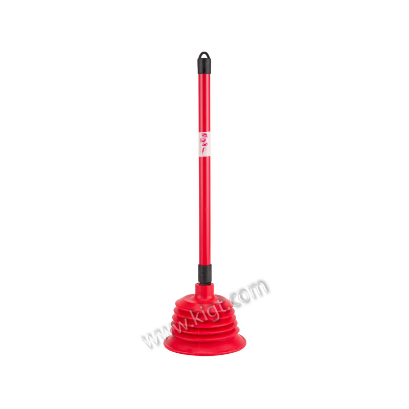 Toilet pump 2010